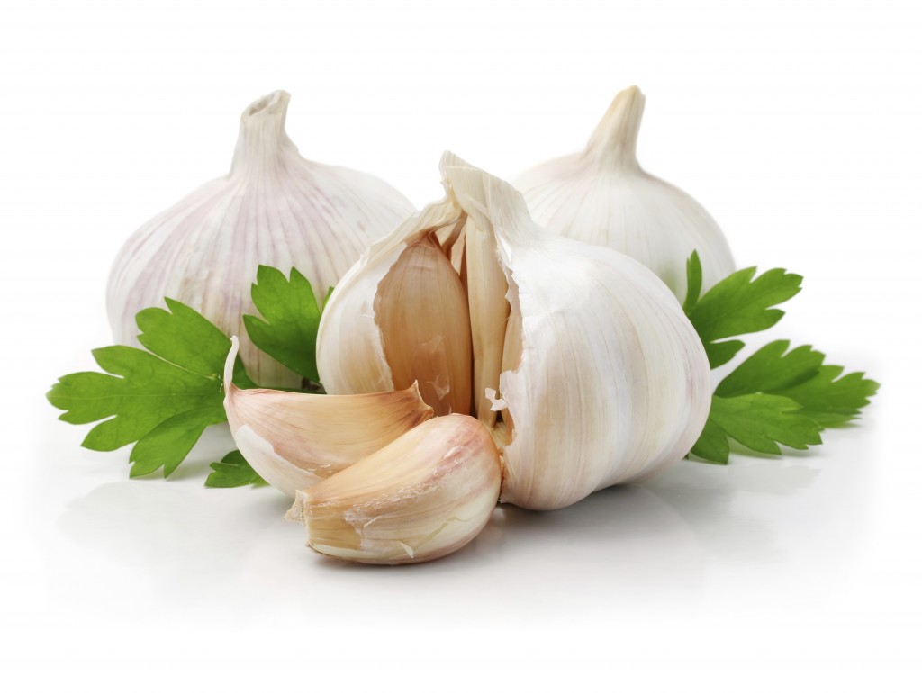 ripe garlic fruits with green parsley leaves